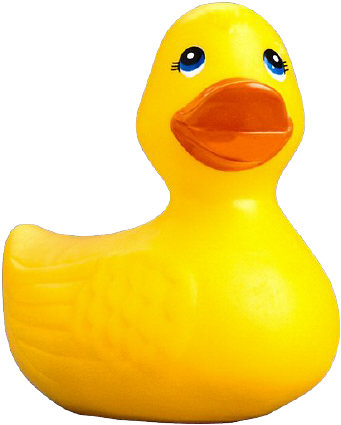 Is this duck a vegan?