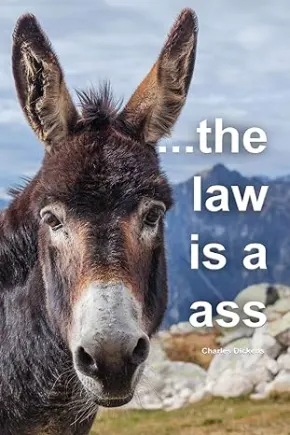 the law is an ass password book