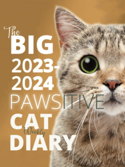 2023-2024 big cat weekly diary