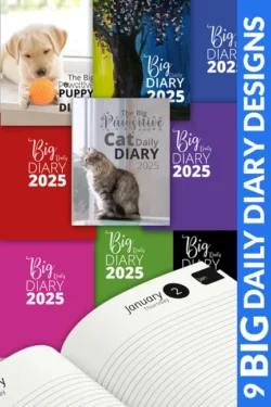 Big Daily Diaries for 2025