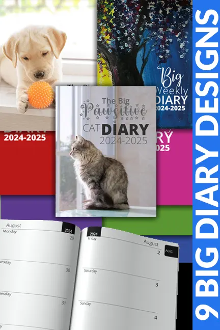 2024-2025 Big Academic Week to View Diaries | 9 Designs