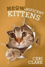 Kitten secret password book