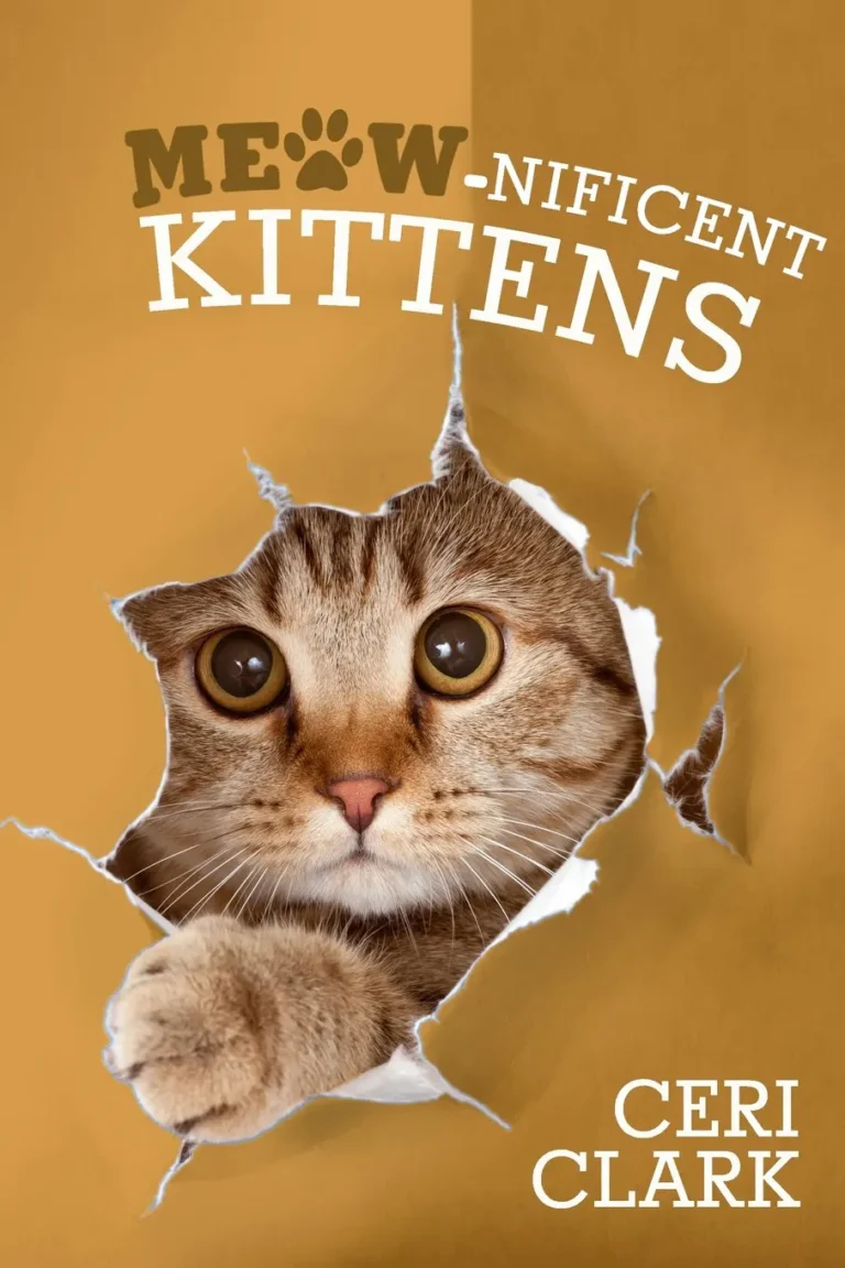 Meow-nificent Kittens Secret Password Book: Unleash the Power of Organization for Kitten & Cat Lovers